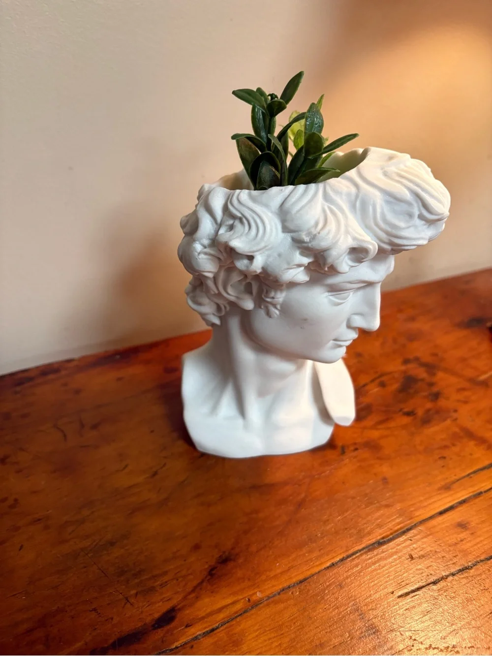 White Sculpted Bust Planter - Decorative David Head Vase